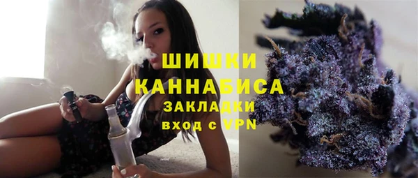 ГАЛЛЮЦИНОГЕННЫЕ ГРИБЫ Белокуриха