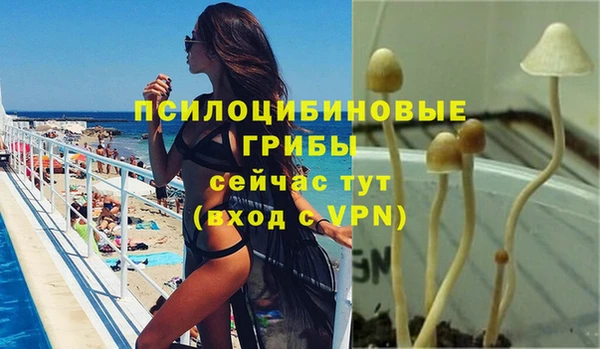 наркотики Богданович