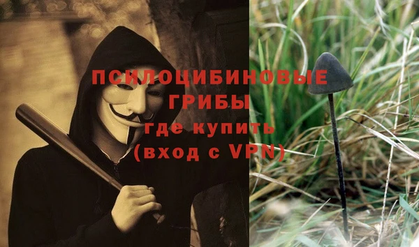 гидропоника Бородино
