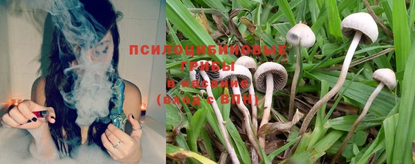 бошки Богородицк