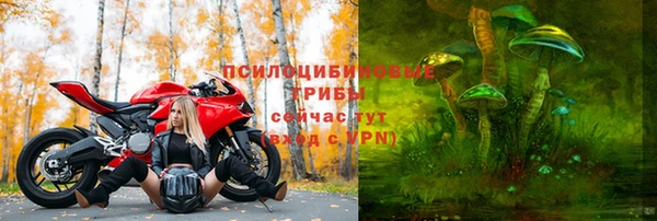 mdpv Богородск