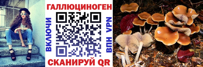 Псилоцибиновые грибы GOLDEN TEACHER  mega зеркало  Белозерск 